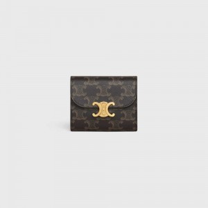 Penazenky Celine Small Triomphe In Triomphe Platene Hnede | CL-592977