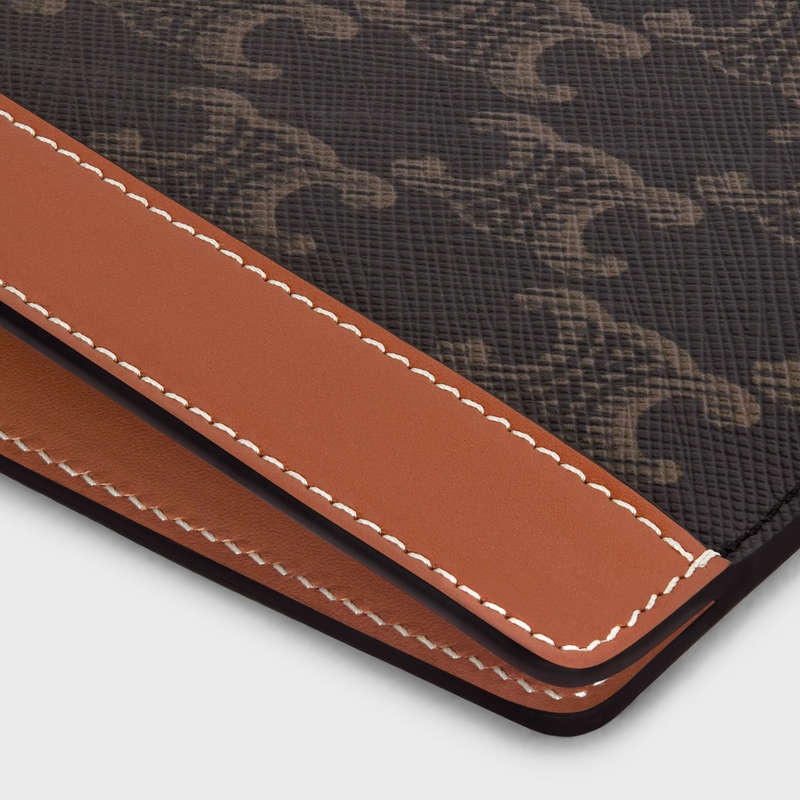 Pouches Celine Ipad Pro Sleeve In Triomphe Platene And Calfskin Hnede | CL-591784