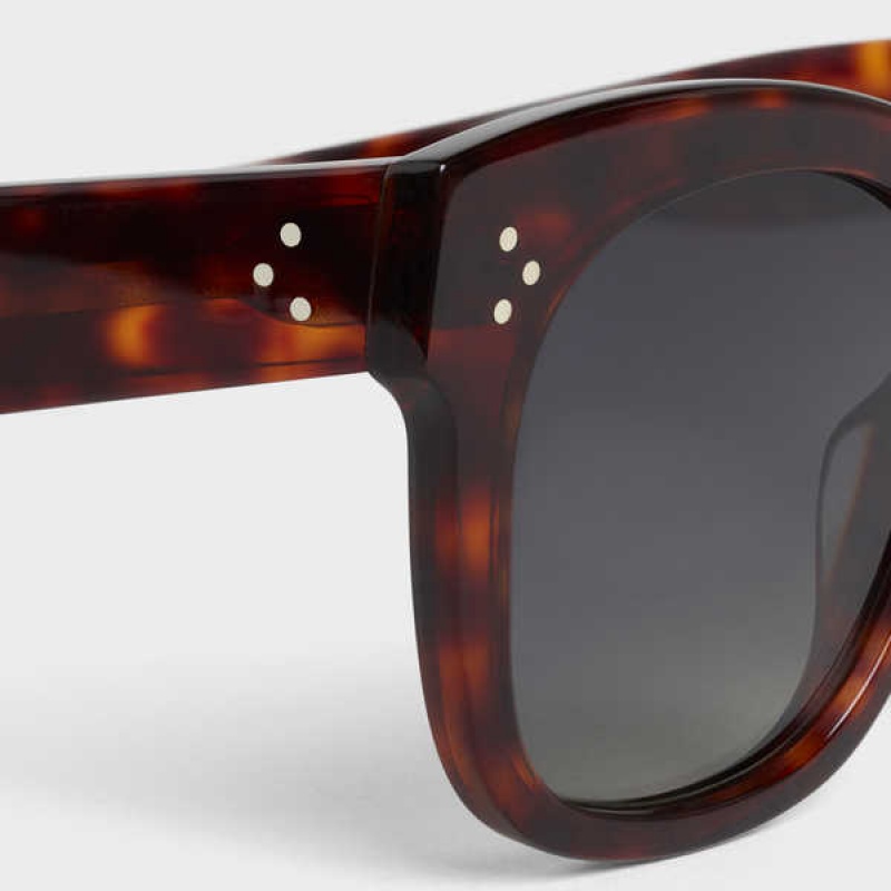 Slnecne Okuliare Celine Oversized S002 In Acetate With Polarized Lenses Červené | CL-592437